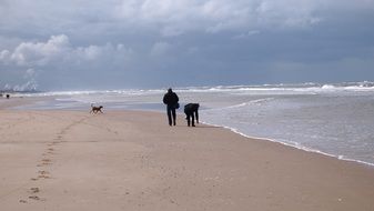 north sea waves beach