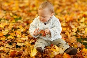 baby boy playing in the autumn leaves