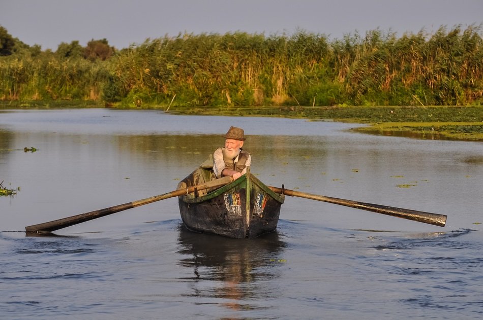 fisherman, old man in rowboat on calm water