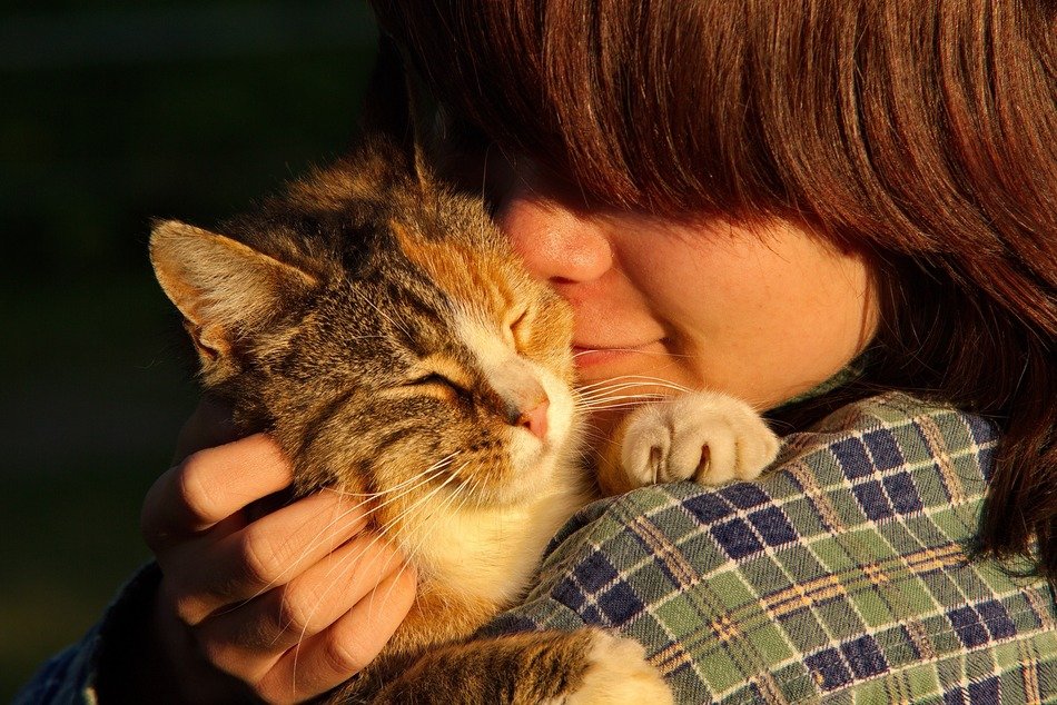 child with cat on shoulder