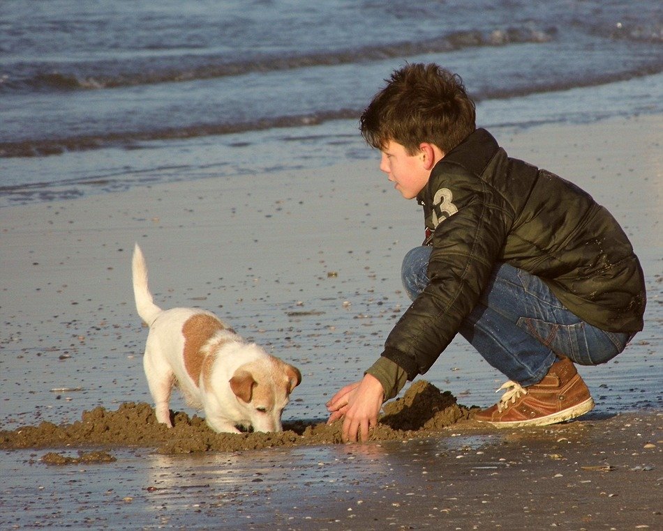 boy and puppy by the sea