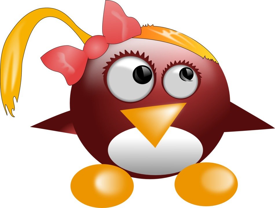 Picture of penguin girl