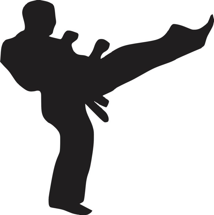 Silhouette of the karate fighter
