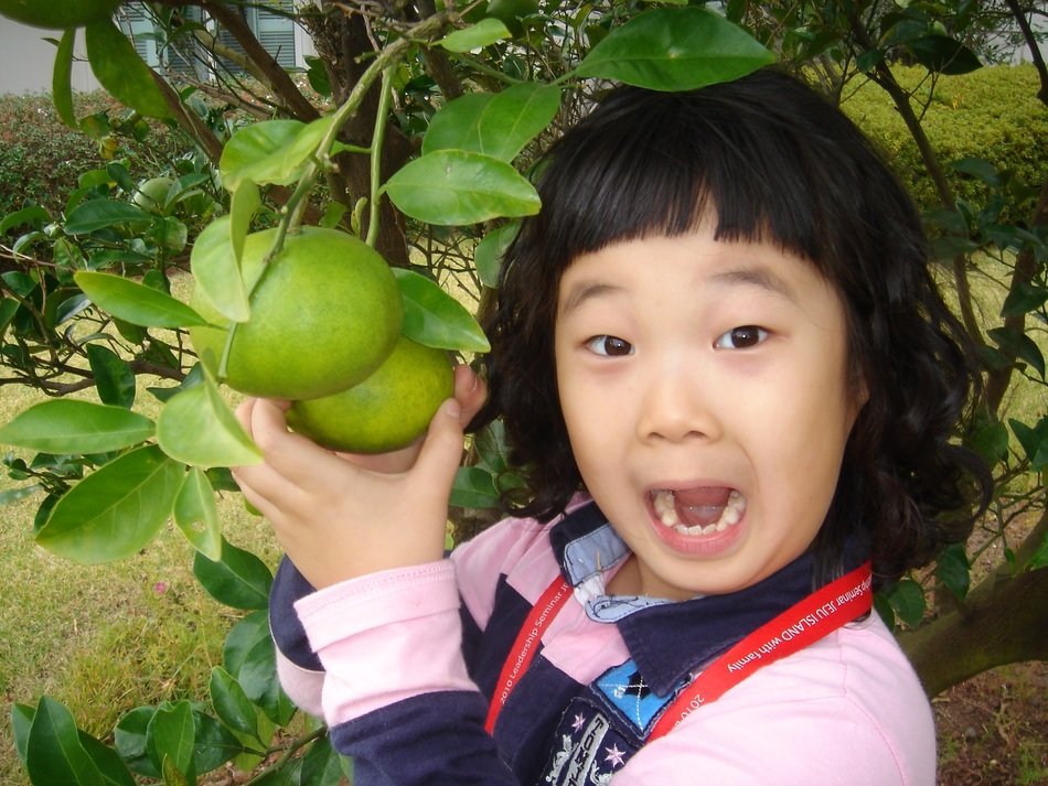 Asian girl holding fruit on a tree