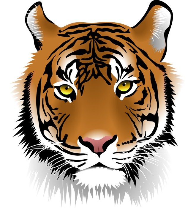 computer image of the face of the tiger