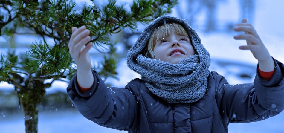 Child near the beautiful green tree under the snow