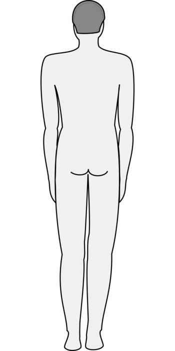 rear view of a man as a graphic image