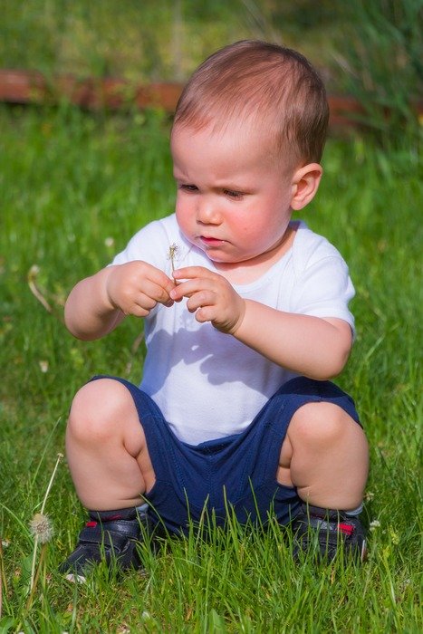 little boy in a summer garden