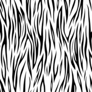 Vector Zebra background N3