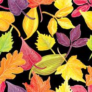 Fall Leaf seamless Pattern hand drawn