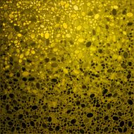 golden background N6