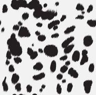 dalmatian skin