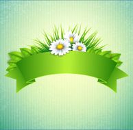 Spring frame N11