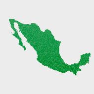Mexico Map Green Hexagon Pattern