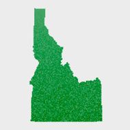 Idaho State Map Green Hexagon Pattern
