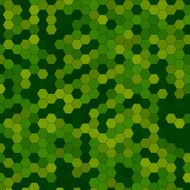 Forest Hexagon Pattern Square