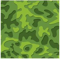 camouflage background N2