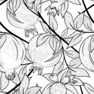 Pomegranate N4