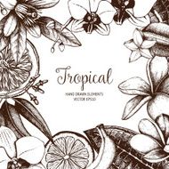 Tropical vector design
