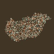 Hungary Map Network Mesh