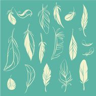 Feathers set