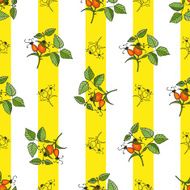 Plant rosehip seamless pattern with yellow stripes