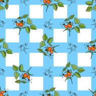 Plant rosehip seamless pattern with blue squares