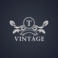 Vintage luxury emblem Elegant Calligraphic vector logo N5