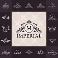 Luxury vintage logos set Calligraphic emblems and elements