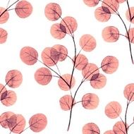 Branches with round leathes Watercolor background 2