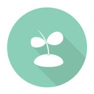 Plant N11
