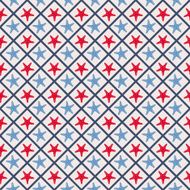 Seamless pattern with cross lines and starfish N2