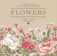 Vintage Greeting Card with Blooming Flowers Peonies chamomile Wildflowers