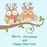 Christmas card with owls on a tree blue background