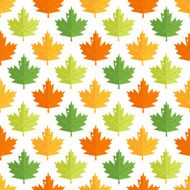 Seamless pattern with colorful maple leaves