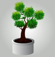 Tree trees with leaves on white background