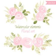 set of watercolor roses flowers and leaf