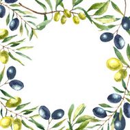 Watercolor olive branch background