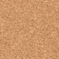 Cork Background N2