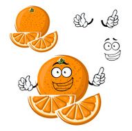 Cartoon happy orange fruit with slices