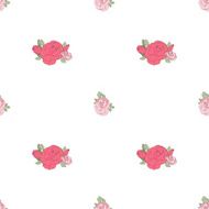 Pink rose on the white background