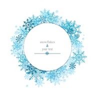 winter print with blue snowflakes N3