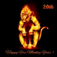 Fire Monkey N2