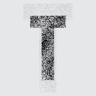 Letter T N62