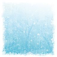 Vector winter background