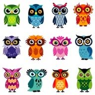 owls N10