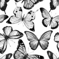 Watercolor butterfly pattern vector N3