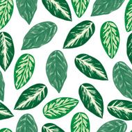 Tropical leaves pattern N3