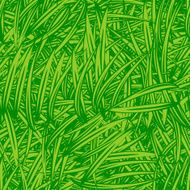 Green grass texture