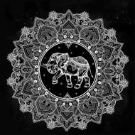 Paisley mandala with elephant inside N2